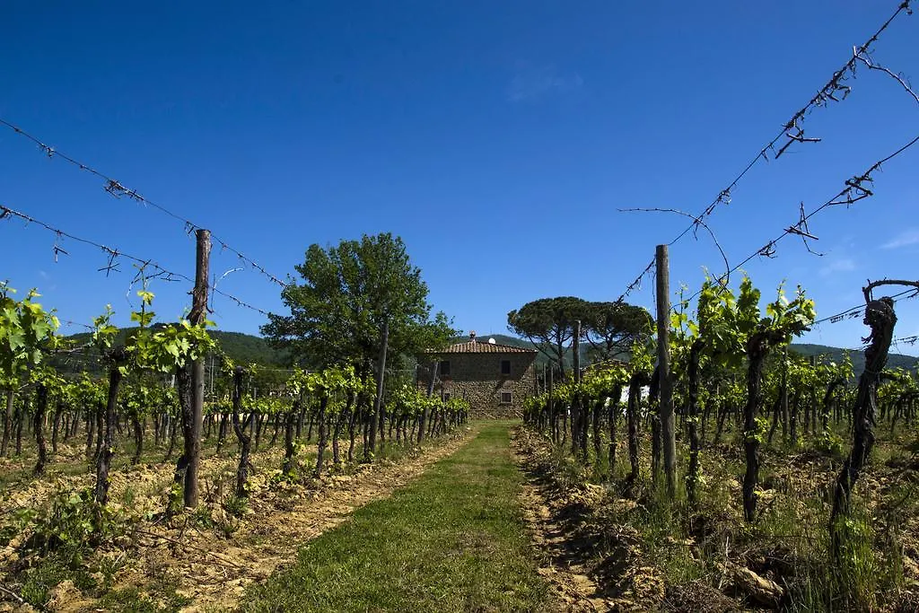 Farm stay Agriturismo La Concezione Castiglion Fibocchi